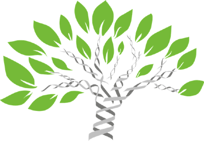 gene-tree-1490270_960_720.png