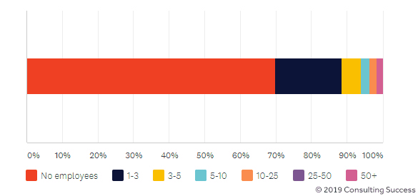 15_-_number-of-employees-per-consulting-firm-2019.png