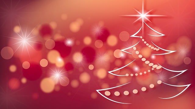 2024 End-of-Year Message from our Executive Director