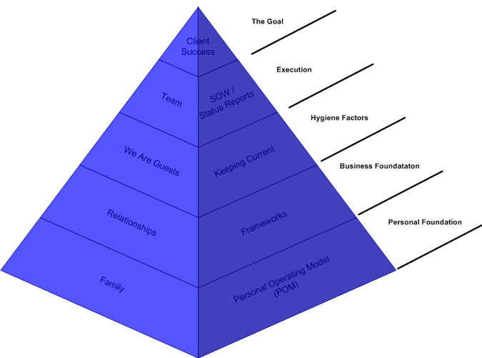 Guiding Principles for the Independent Consultant